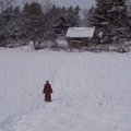 Kuti walk in winter