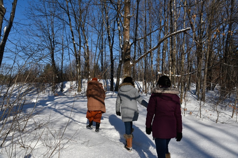 Winter mindful walk.jpg