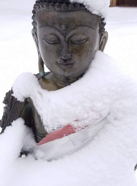 Buddha statue after a snow storm.jpg