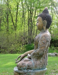 Buddha statue in the meadow